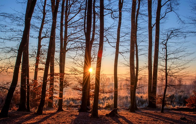 Gerade im Winter ist es schwierig, genügend Sonnenlicht für die Vitamin-D-Produktion über die Haut aufzunehmen. (Bild Pixabay)