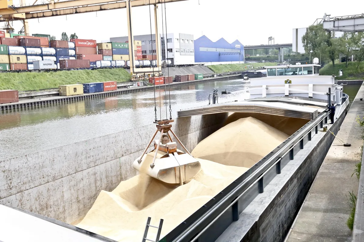 6b7ac14bb3aea52676aeac72695e0d586d354694 99 Prozent des in die Schweiz importierten Soja erfüllt die Kriterien des Soja-Netzwerks. (Bild mw)