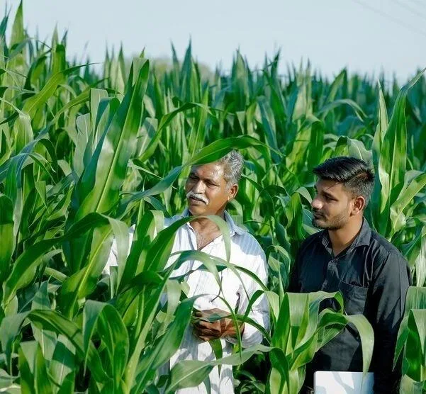 1f67d04b7cb3919b2f992106c87761018ccbea74 Syngenta übernimmt Verantwortung durch Ausbildung von Bauern in der ganzen Welt / Weiterer Text über ots und www.presseportal.ch/de/nr/100080951 / Die Verwendung dieses Bildes ist für redaktionelle Zwecke honorarfrei. Veröffentlichung bitte unter Quellenangabe: (Bild Syngenta AG)