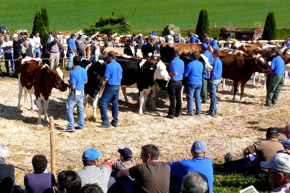 Die Beständeschauen sind weiterin ein grosser Anziehungspunkt für Züchter und Besucher. (Bild Peter Fankhauser)