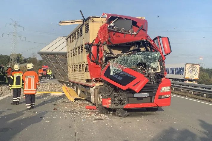 Der Schweinelaster fuhr aus ungeklärter Ursache auf einen Sattelzug auf. (Bild Kreisfeuerwehr Rotenburg)