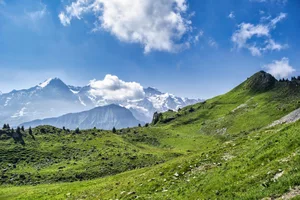 Das «Gesetz über dringliche Massnahmen zur kurzfristigen Bereitstellung einer sicheren Stromversorgung im Winter» soll den Bau grosser Freiflächen-Solaranlagen im alpinen Raum massiv vereinfachen.