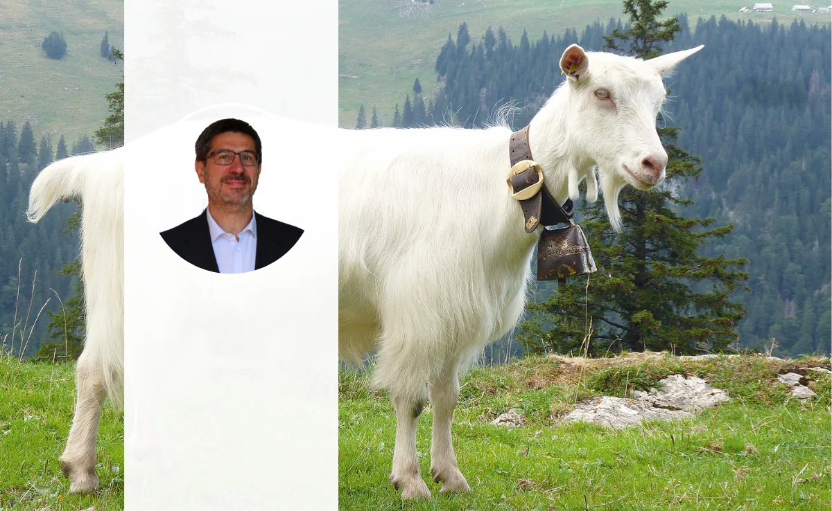 DG_online_Appenzellerziege_Nachgefragt Das Porträt von Thomas Herren steht vor dem Hintergrund einer Appenzellerziege.