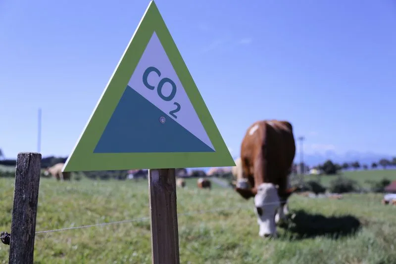 81d1fce6f55b51dbb0c64266b5ec4f302a51382b Die Landwirtschaft verursacht CO2-Emissionen, hat aber auch grosses Potential dieses zu binden: Ohne das abgelehnte Gesetz stellt sich nun die Frage, wie das Ziel der Treibhausgasreduktion erreicht werden kann. (Bild lid)