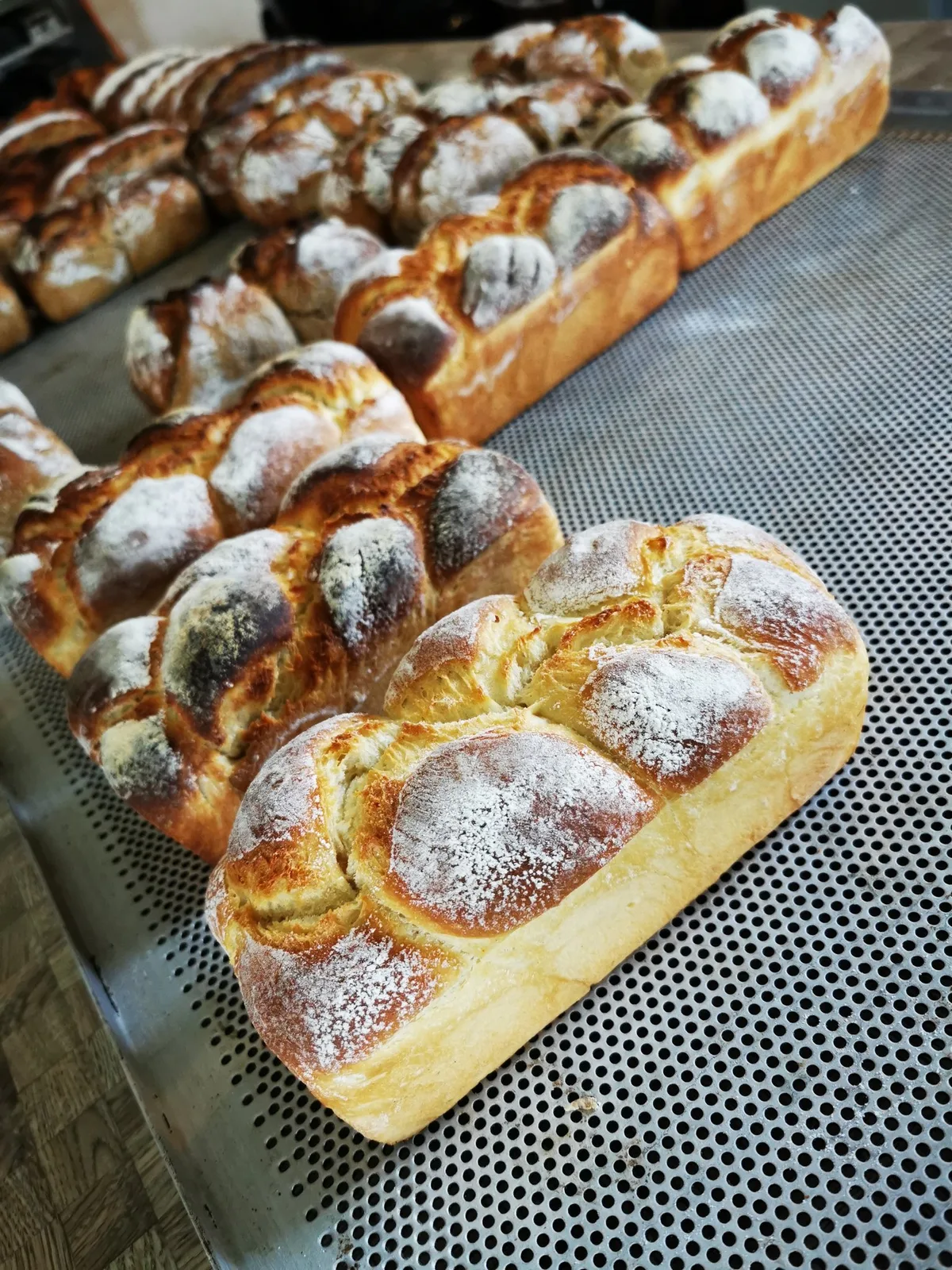 Exportstützung beim Brotgetreide: Gut investierte 16 Millionen