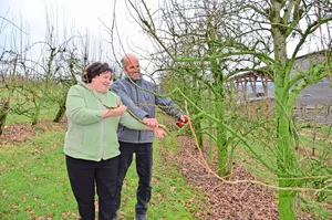 Gemeinsam arbeiten: Susanne und Andreas Hedinger beim Schneiden der Obstbäume.