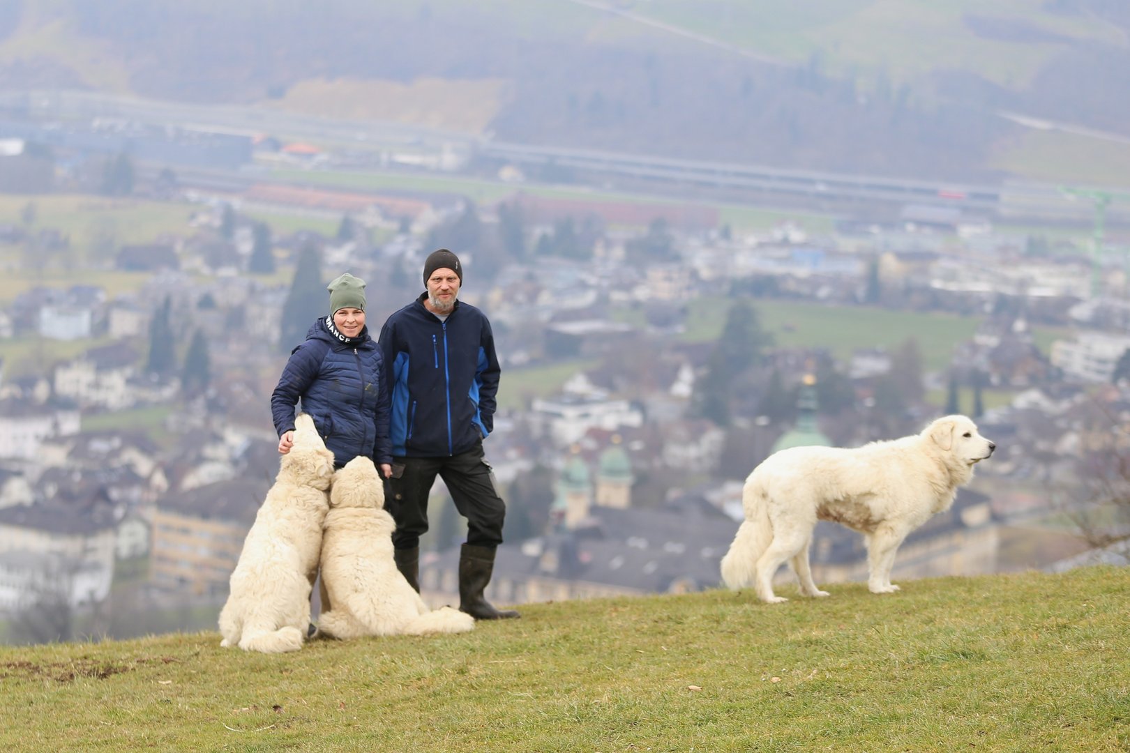 «Ohne Wolf hätten wir sicher keine Herdenschutzhunde» – Die Schwyzer Familie Kälin berichtet