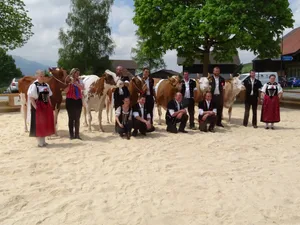 Die Riffenmatt-Missen 2022 (v. l. n. r.): Schöneuter Red Holstein/Holstein, Miss Red Holstein/Holstein, Miss Swiss Fleckvieh, Schöneuter Swiss Fleckvieh, Miss Simmental, Schöneuter Simmental.