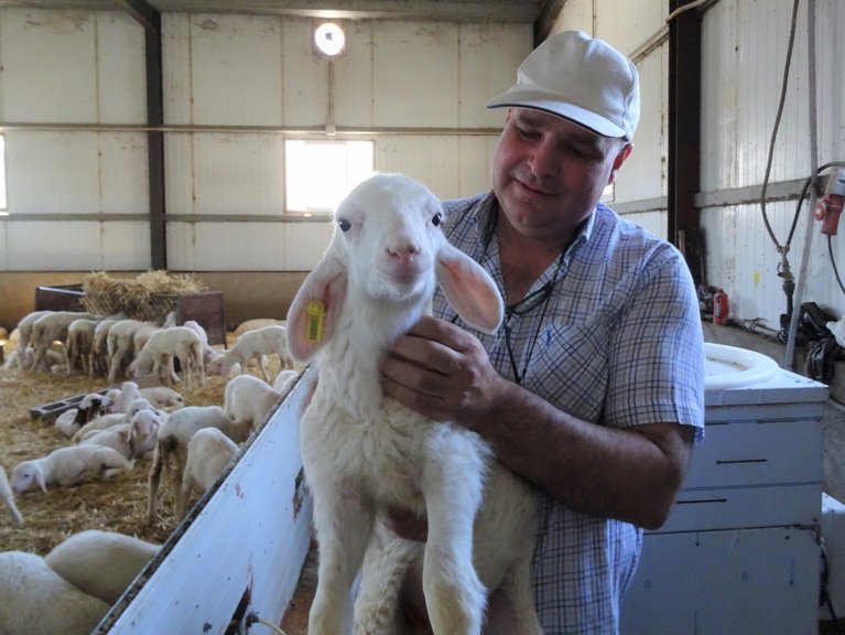 Antonio Marqués de Mendiola sah im Modell Crowdfarming eine Chance, seinen Schafskäse nicht nur lokal sondern international verkaufen zu können. Sonst hätte der Umweltingenieur die Farm seiner Eltern wohl verkauft. (Bild Melina Gerhard)