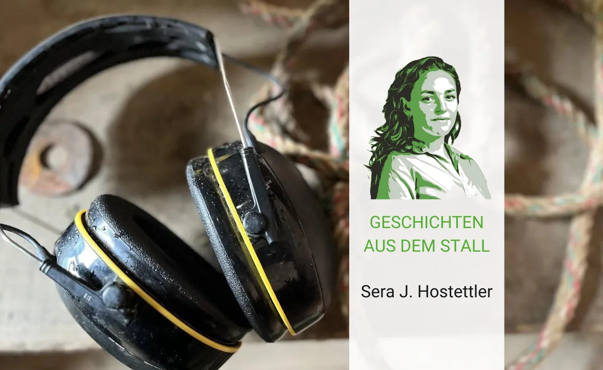 Artikel_Analyse_BauZ__2_ «Ich vermisse meinen Pamir»