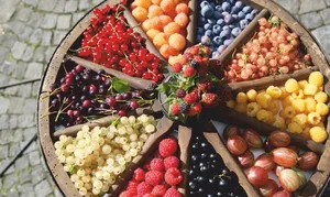 Der Bio Marché lädt zum Online-Einkauf ein. (Bild Bio Marché)