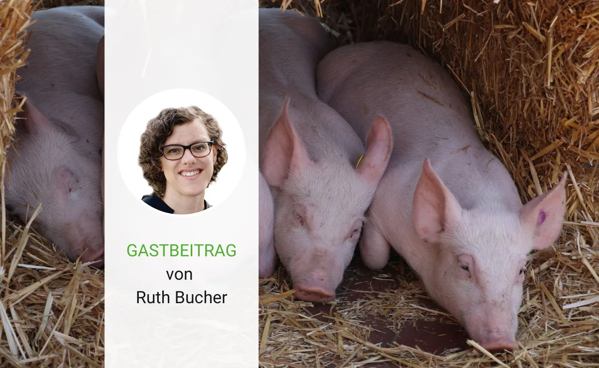 Ob sich eine Arbeit lohnt, ist nicht nur eine Frage der Wirtschaftlichkeit