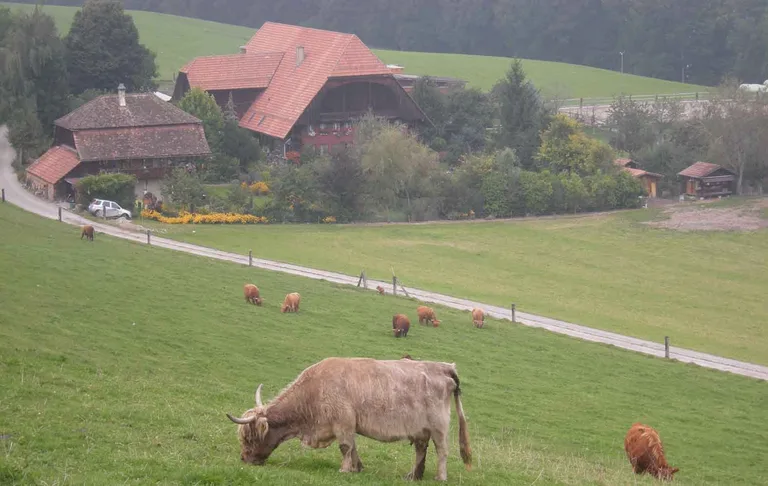 73f880101b317662886226faaa35e83967617923 Die Zahl der Landwirtschaftsbetriebe ging im letzten Jahr um 1,2 Prozent zurück. (Bettina Iseli/landwirtschaft.ch)