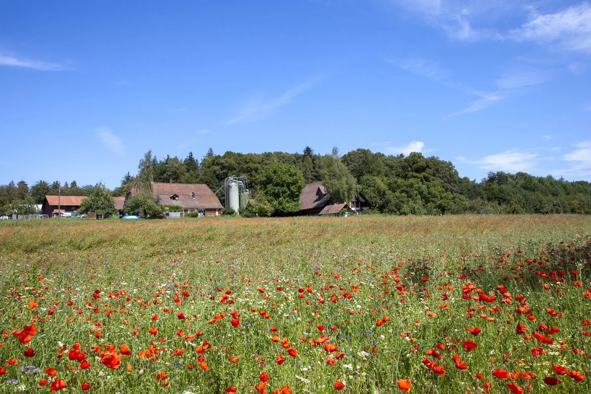 Kostenlose Beratung für Biodiversität im Einklang mit Produktion