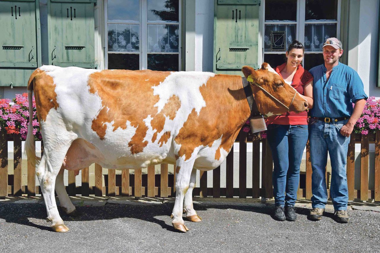 Sandra und Bruno Beyeler in Düdingen FR mit ihrer Stadel Baloma. Sie leistete bisher 108'765 kg Milch. (Bild Peter Fankhauser)