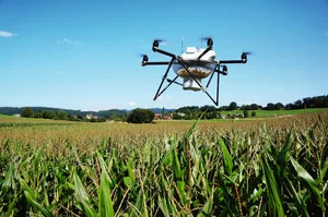Trichogramma können mit der Drohne ausgebracht werden. Dies verschafft eine Zeitersparnis von 20 bis 30 Minuten pro Hektare. Die Anwesenheit des Landwirts ist dabei nicht erforderlich.