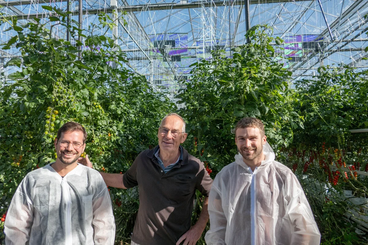 voltiris1 Agri-Photovoltaik: Solarmodul im Gewächshaus