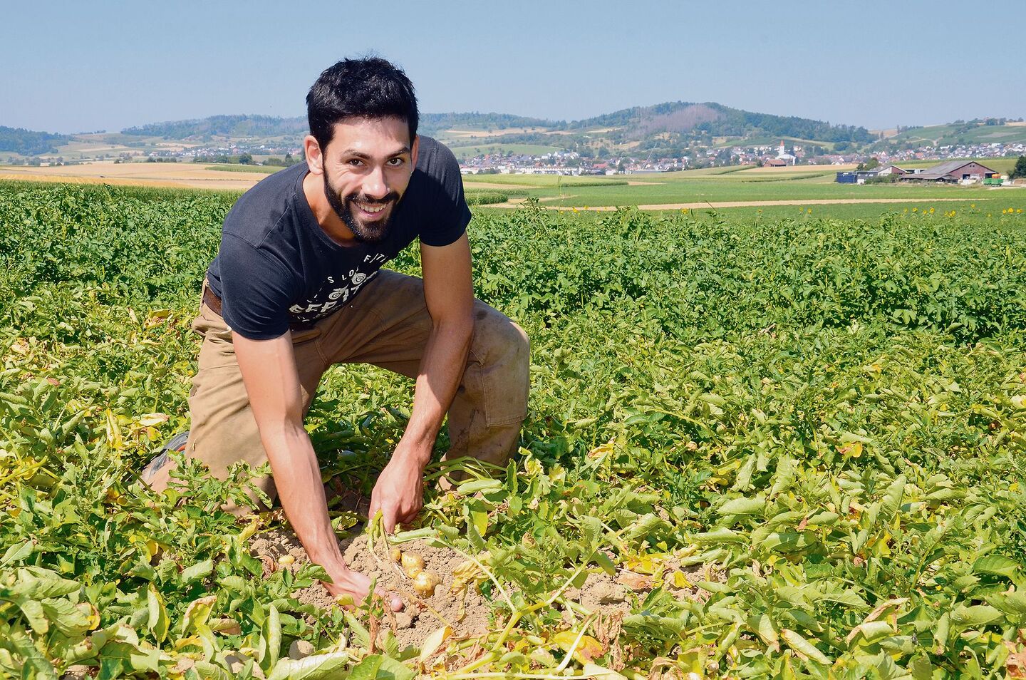 «Die Kartoffeln sehen gut aus. Es gibt höchstwahrscheinlich eine gute Ernte», sagt David Wanner. Den Betriebszweig Kartoffeln baute er schon vor der Hofübergabe auf.