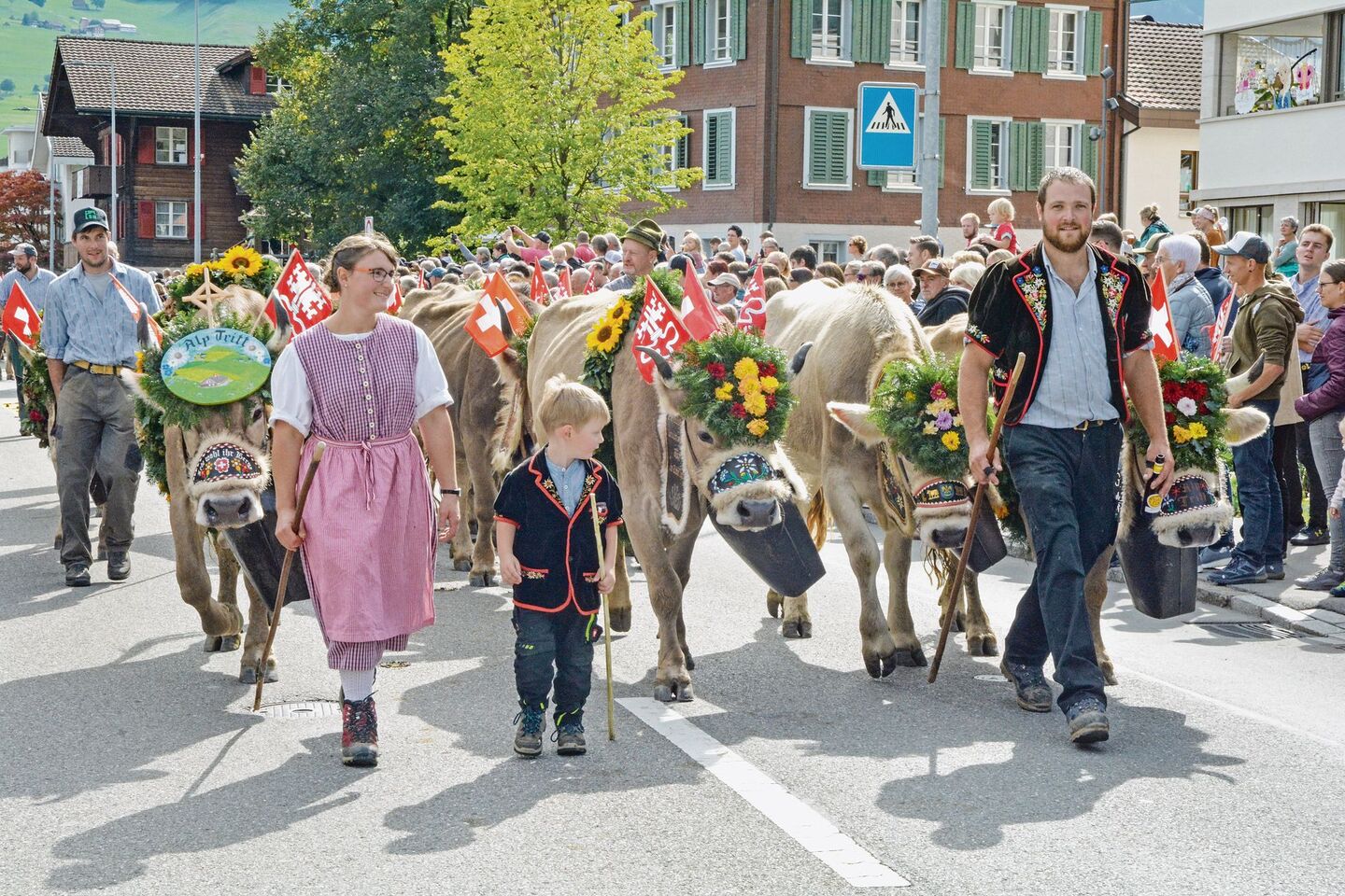 Die Älpler sind zufrieden zurück im Tal