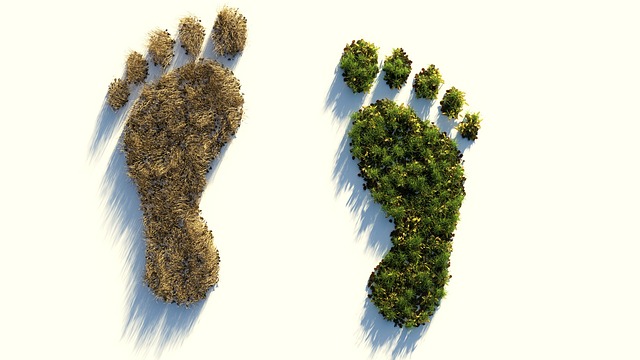 Blinder Klimaschutz kann die Ernährungssicherheit gefährden. Beide Anliegen zu vereinen ist aber möglich. (Bild Pixabay)