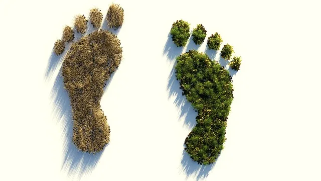 de26bbf0e357a9935a82a0bb0faf9be1915ce973 Blinder Klimaschutz kann die Ernährungssicherheit gefährden. Beide Anliegen zu vereinen ist aber möglich. (Bild Pixabay)