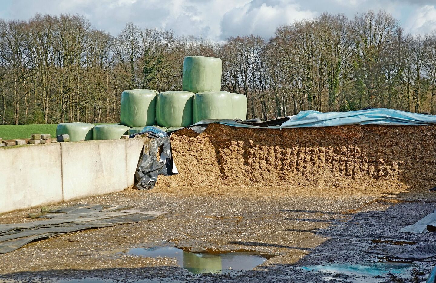 Wie gut ist die Qualität der Silage? Ist ein Ergänzungsfuttermittel notwendig? Um es genau zu wissen, ist jetzt Zeit, eine Futtermittelanalyse in Auftrag zu geben.