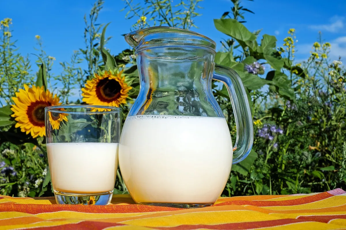 milk-2474993_1280 Milchproduzenten verlangen Anpassungen bei Import und Export