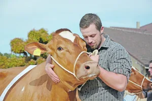 Beständeschauen, insbesondere Jubiläen, sind Publikumsmagnete. Die mit Emotionen geladenen Anlässe sollten heuer möglichst ohne Publikum stattfinden. (Bild BauZ/sb)
