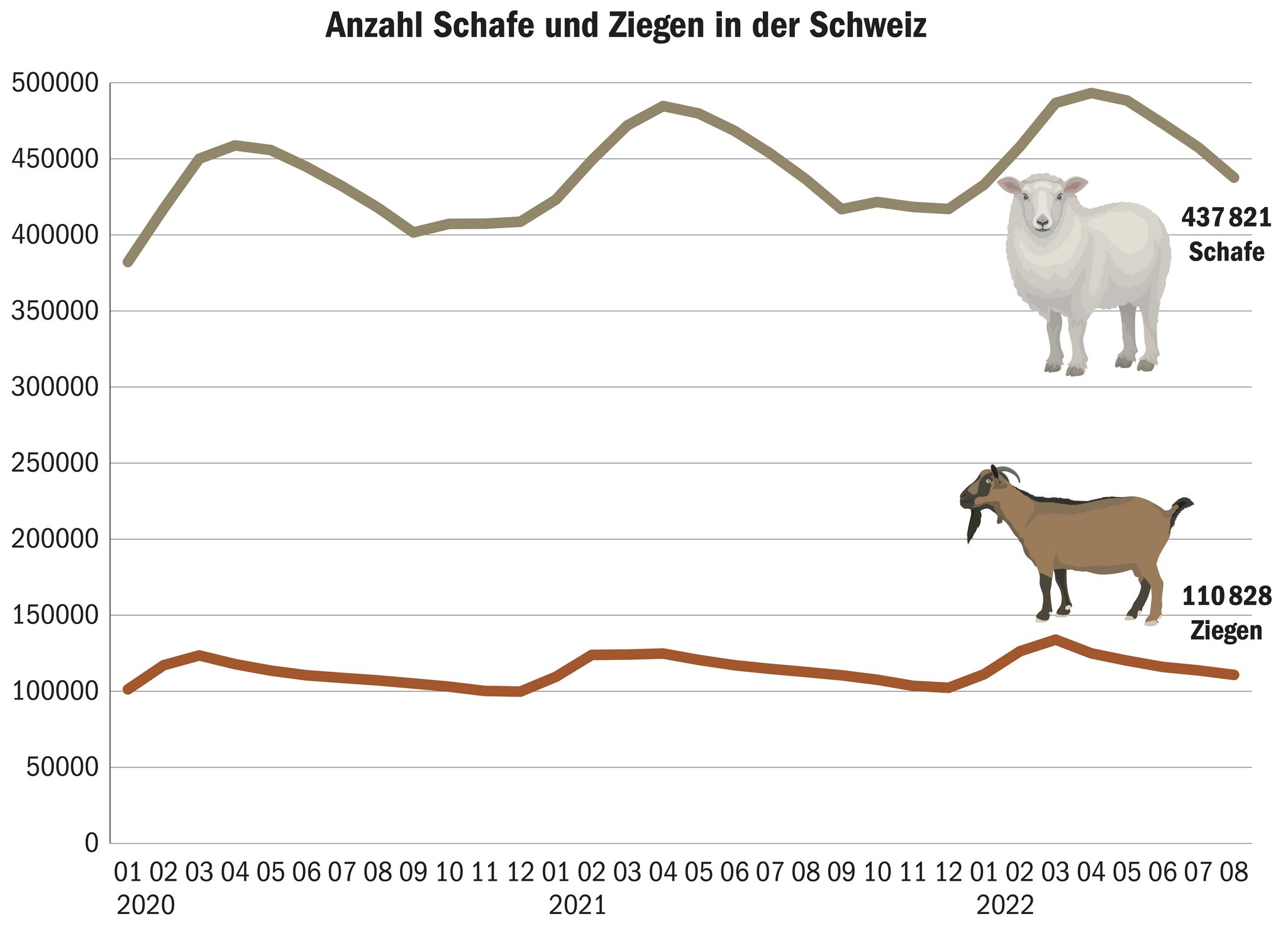 Kleinvieh ist beliebt