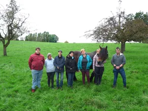 Die Gründungsmitglieder des Schweizerischen Ardenner Zuchtverbandes versammelten sich in Uebeschi (Kanton Bern). (Bild SAV)