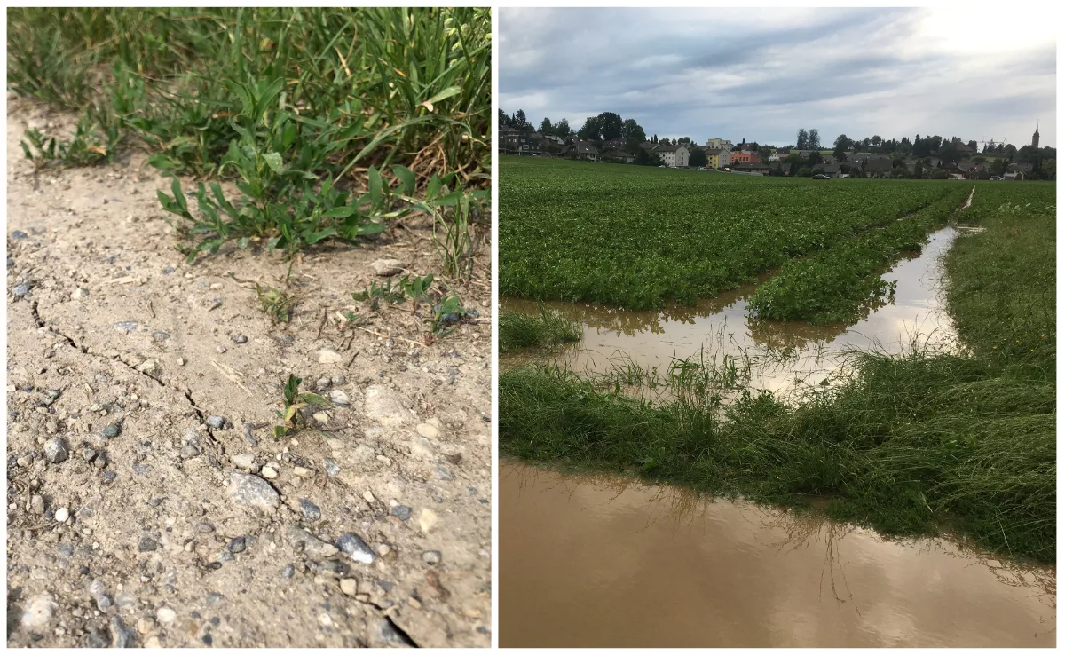 versicherung_Regen Neue Versicherung gegen Trockenheit ohne Schadensschätzung