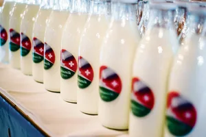 Pünktlich zur Lancierung stehen sie parat: die Milchflaschen mit dem Logo des Grünen Teppichs darauf.(Bild hja)