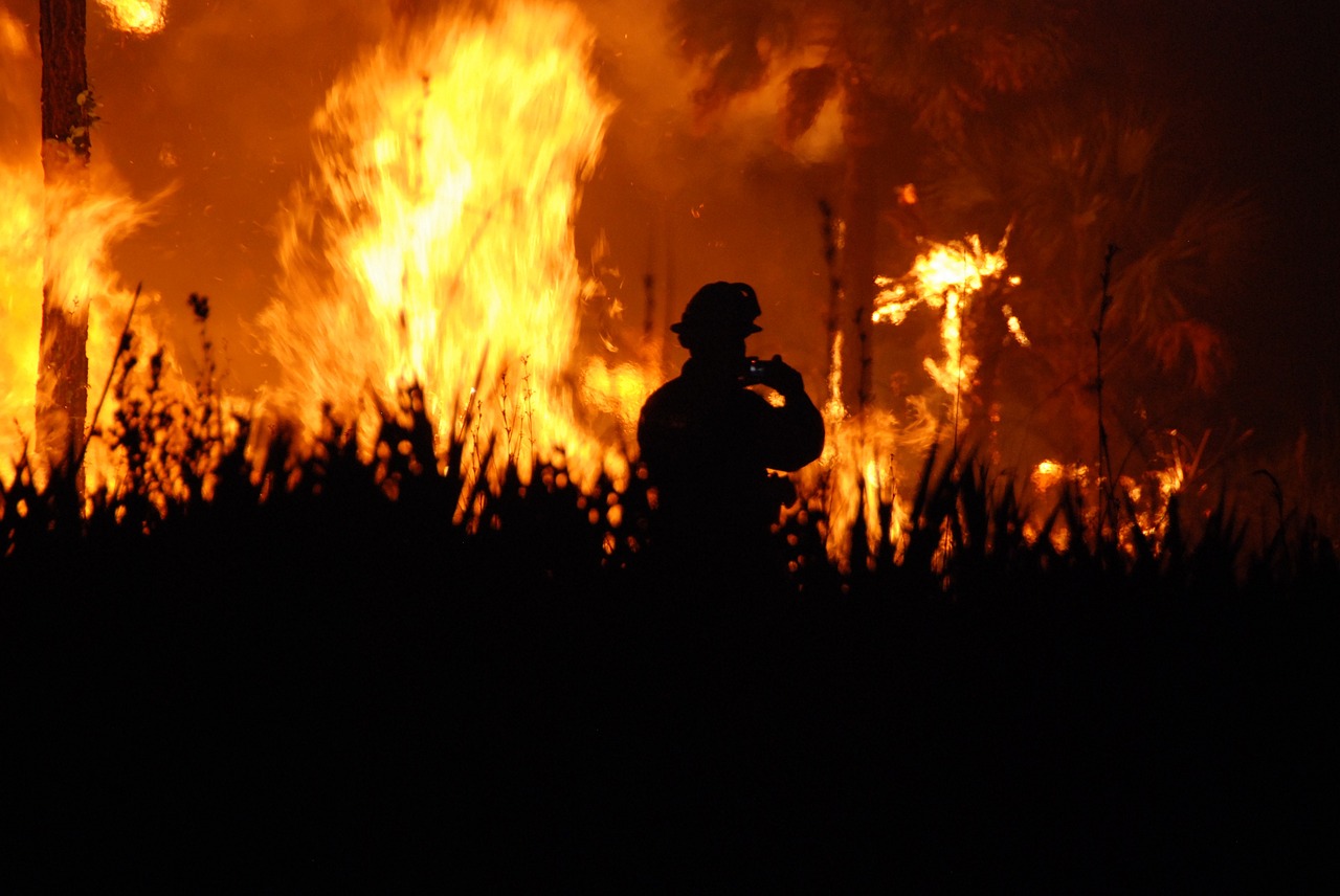 In Australien wüten derzeit Buschfeuer. (Symbolbild Pixabay)
