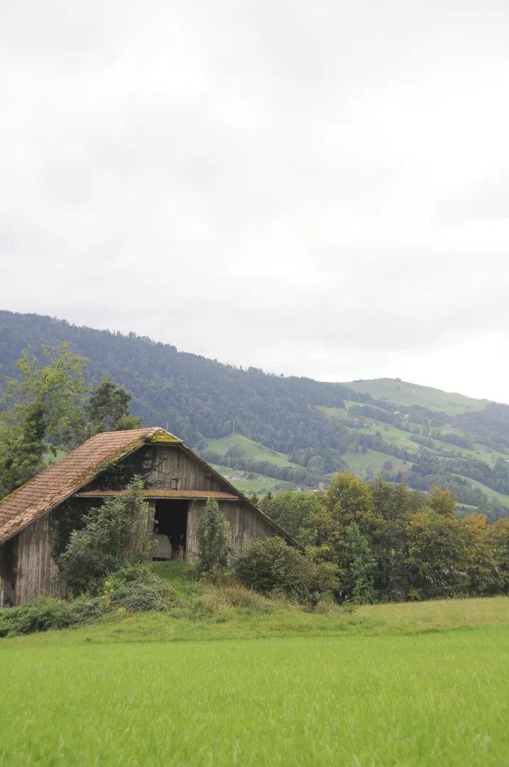 Bauen in der Landwirtschaft: Bald kommt die Abbruchprämie