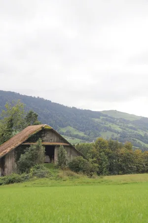 Alte nicht mehr genutzte Scheune im Kanton Luzern. Derzeit läuft die Vernehmlassung, für welche Objekte es eine Abbruchprämie geben soll.