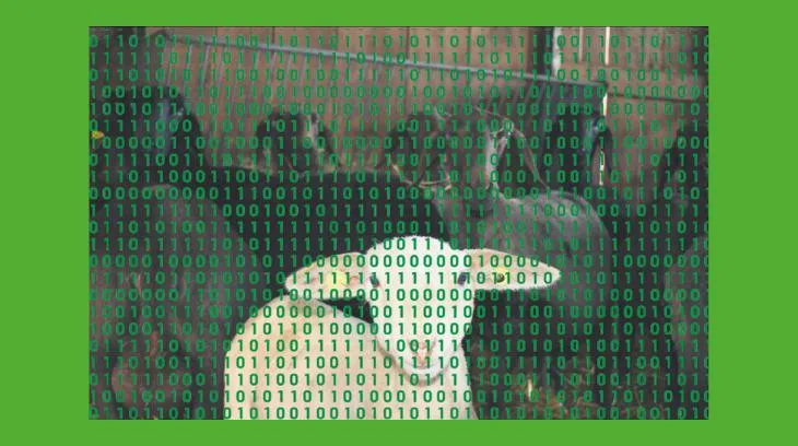 d71a457d64fdc5ec6384e6d9903b010af7cdedde Ein Jahr nach der Einführung der Einzeltierregistrierung bei Schafen und Ziegen sind noch nicht alle Tiergeschichten fehlerfrei. Kommen solche Tiere in den Schlachthof, kostet es zehn Franken. (Bild dj/Montage dr)