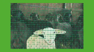 Ein Jahr nach der Einführung der Einzeltierregistrierung bei Schafen und Ziegen sind noch nicht alle Tiergeschichten fehlerfrei. Kommen solche Tiere in den Schlachthof, kostet es zehn Franken. (Bild dj/Montage dr)