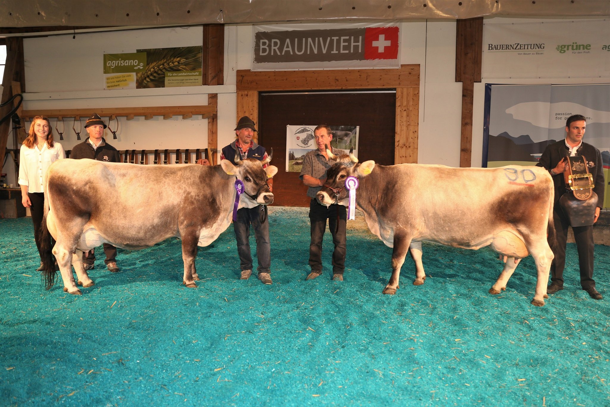 Grauvieh Expo: Doppelerfolg für den Walliser Franz Guntern