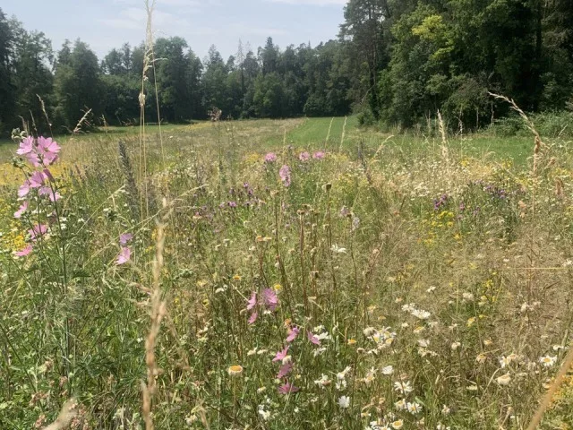 13_ZiBiF_Foto_mit_Text_pd_LoRes Zürcher Ressourcenprojekt präsentiert Umsetzungsvorschlag für Biodiversitätsförderung in der AP 2030+