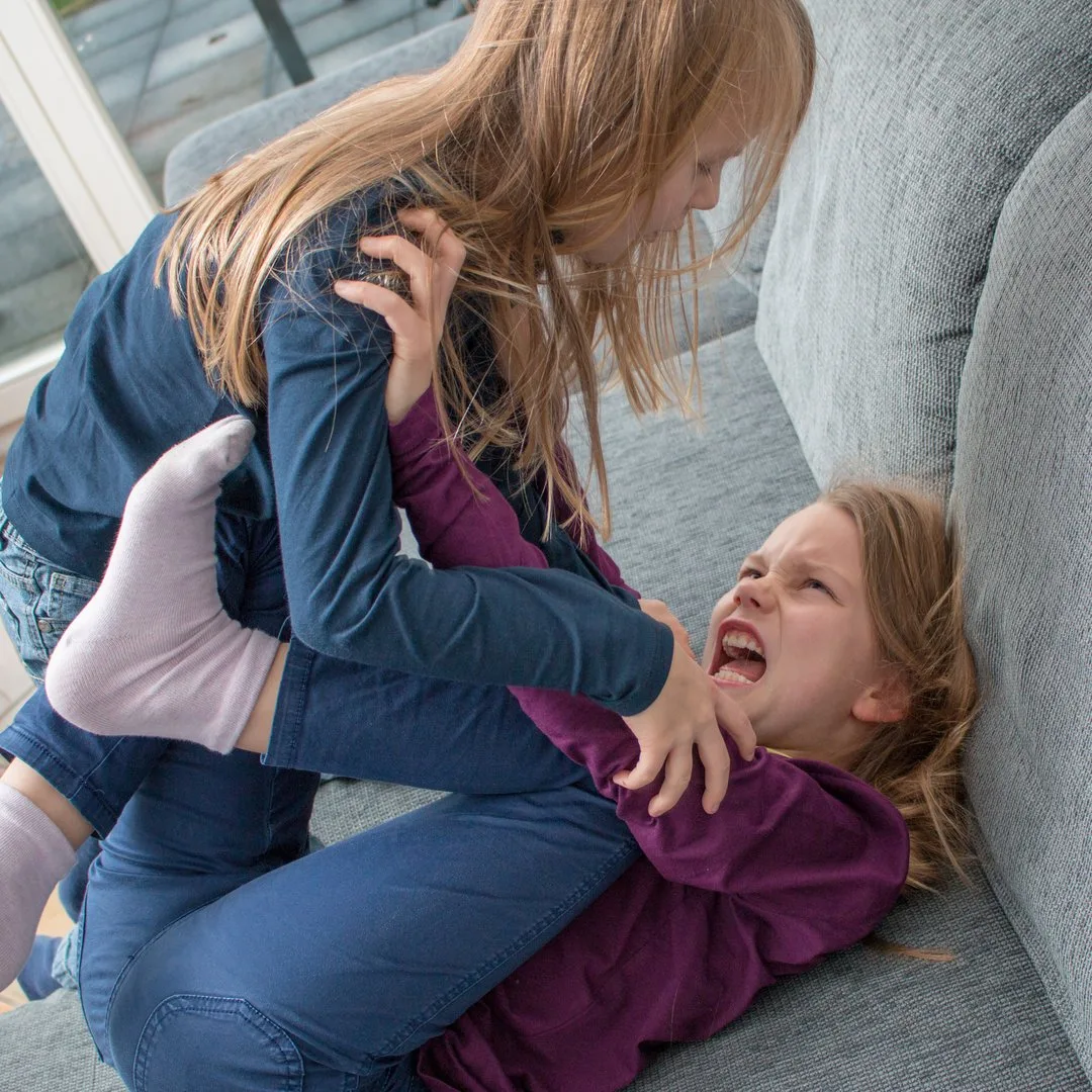 BZ-LAN-Geschwister-jgl Ein 7- und ein 9-jähriges Mädchen schreien sich an und schlagen sich