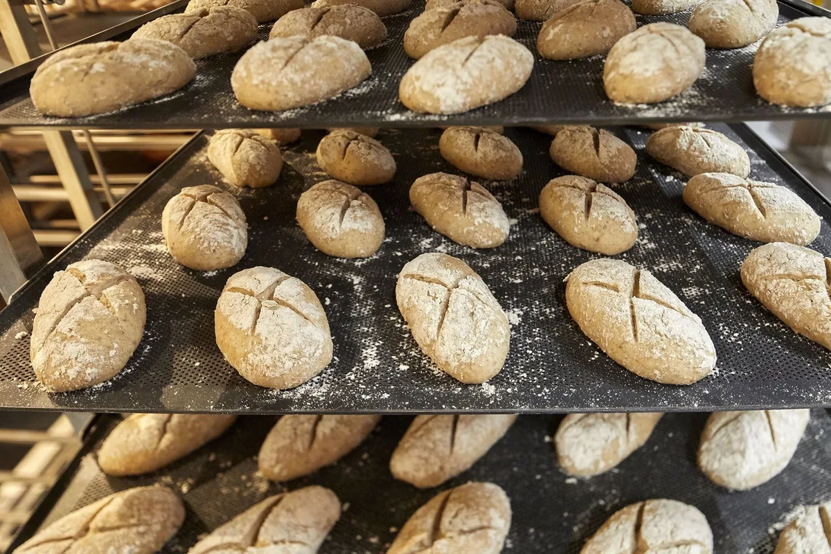 Brot-Coop Die Bio-Ackerbauoffensive läuft weiter – auch Bio-Speisehafer ist wieder gesucht