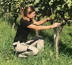 Winzerin Nicole Theiler bei der Arbeit im Schlossrebgut Deutschritterkommende in Hitzkirch.