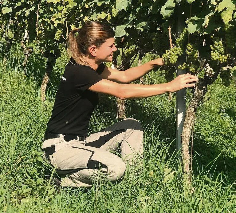 aa1d13596d66f593bd4b6f2000501c03ae813c27ddabd0fce7fddf081bce50fc Nicole Theiler tauschte die Grossbank mit dem Rebberg