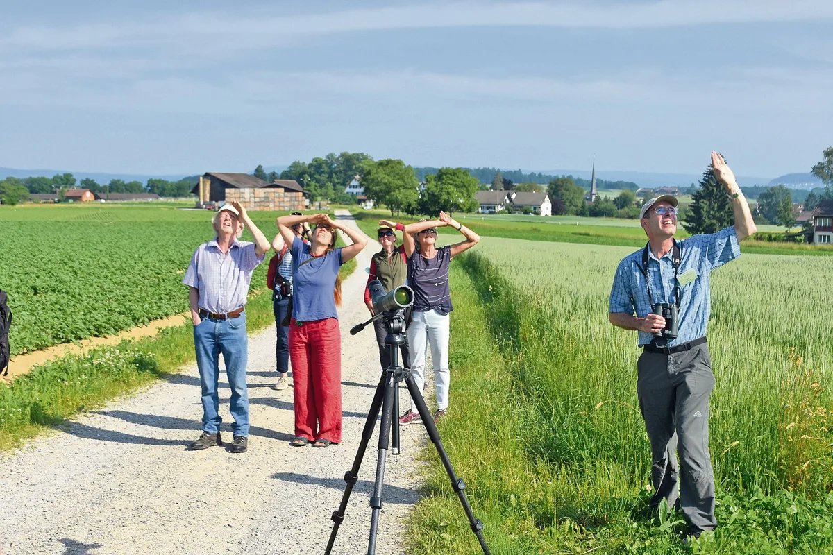 c2c281a7d018861cee7f1482f4bd992356274266 Bei der Exkursion in Marthalen galt das Augenmerk der Feldlerche. Diese wurde oftmals gesichtet und auch gehört. (Bilder Thomas Güntert)