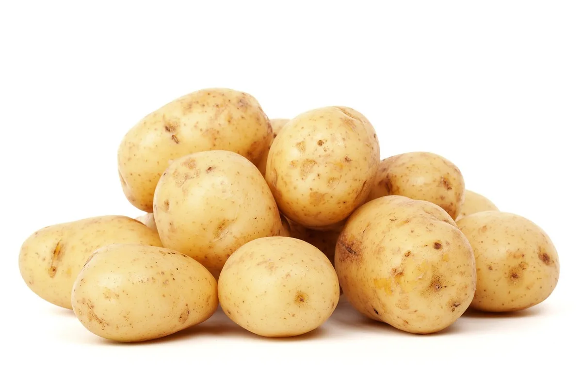 Die Frühkartoffelkampagne steht an, aber es ist mit Verzögerungen zu rechnen
