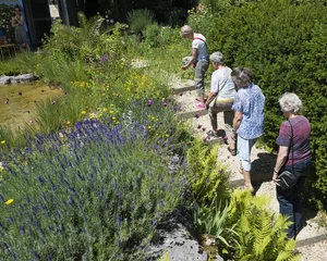 Ein Faible für die schönen Gärten anderer Leute? Am Wochenende vom 16. und 17. Juni 2018 kommen Gartenfreunde auf ihre Kosten. (Bild zVg)