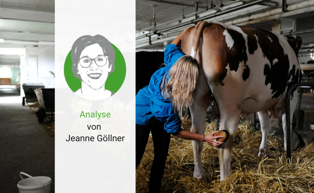 analyse-04 Wonder Woman: Superheldin in Gummistiefeln