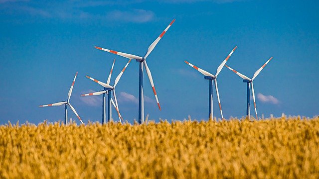 Der WWF sagt Ja zum CO2-Gesetz. (Bild Pixabay)