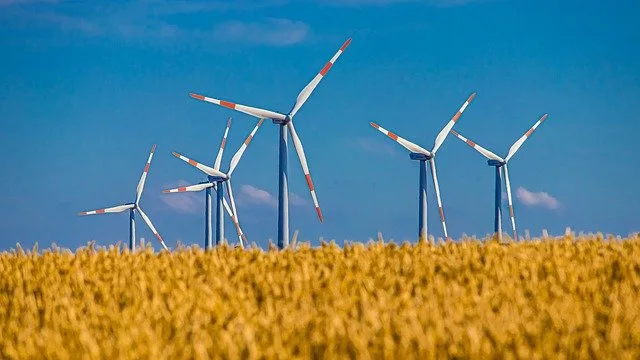 b9d772e5932a6d825bae6de46c755fa5099f9ffd Der WWF sagt Ja zum CO2-Gesetz. (Bild Pixabay)