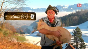 Hans hat einen Hobbybetrieb im Kanton Appenzell Innerrhoden mit sieben Geissen.